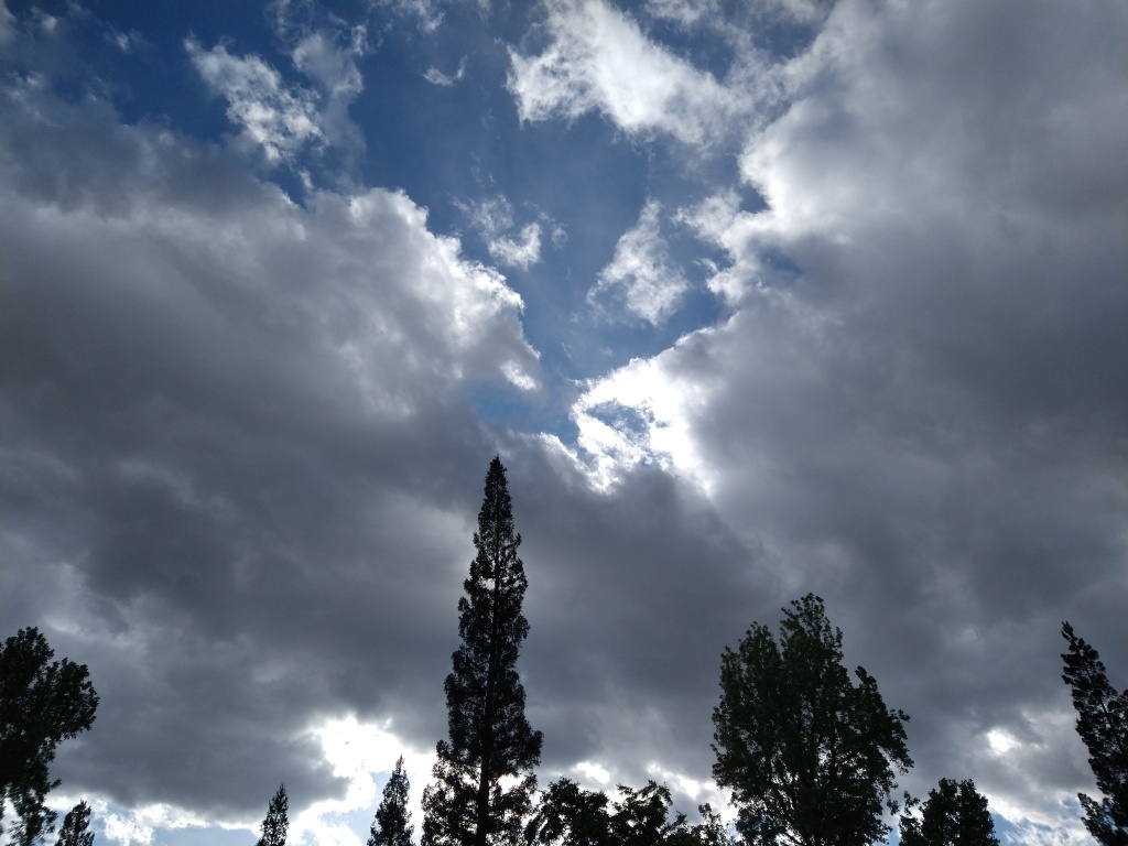 Clouds against blue sky with tree silhouettes on edges of frame